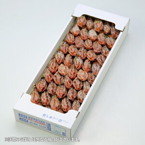 Ε ` Y ق`Yg wZ̊`x  3LTCY 50 2000gȏ Mtg ` ` Mtg 