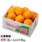 紅八朔 べにはっさく 赤秀 3L～Lサイズ 12～18玉 5kg 広島県産 JA尾道市 因島選果場 ハッサク みかん