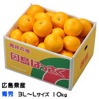 八朔 はっさく 青秀 3L～L 25～35玉 10kg 広島県産 JA尾道市 因島選果場 ハッサク みかん ミカン