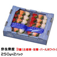 いちご 奈良いちごラボ 3種 （古都華・淡雪・パールホワイト）250g×2パック 奈良県産 苺 イチゴ ギフト …