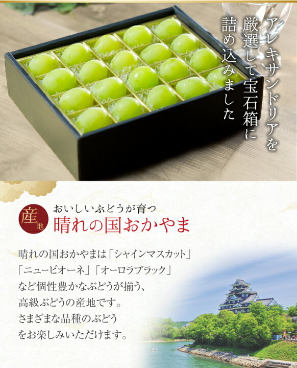 ぶどう シャインマスカットamp オーロラブラック ジュエルセレクション 岡山県産 特秀 Lサイズ 粒 送料無料 葡萄 ブドウ ギフト 12月 スーパーsale