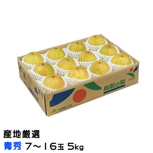  Ñ  YnI G 7ʁ`16 5kg iV Ȃ