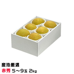 Ε  Ñ  YnI ԏG 5ʁ`9 2kg iV Ȃ