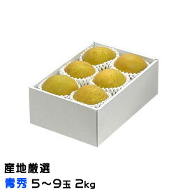 梨 甘太 かんた 産地厳選 青秀 5玉〜9玉 2kg ナシ なし