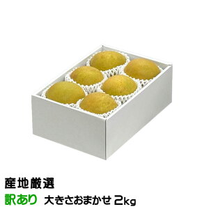 Ε  Ñ  YnI Ɩ󂠂 傫܂ 2kg iV Ȃ