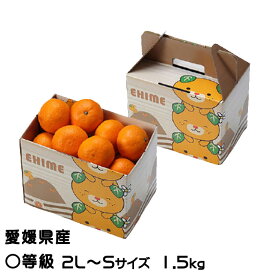 みかん 完熟春みかん カラマンダリン 〇等級 2L～S 1.5kg みきゃん箱入り 愛媛県産 JAえひめ中央 中島選果場 ミカン 蜜柑 ギフト 母の日