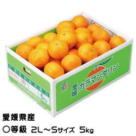 みかん 完熟春みかん カラマンダリン 〇等級 2L～S 5kg 愛媛県産 JAえひめ中央 中島選果場 ミカン 蜜柑 ギフト お取り寄せグルメ 父の日