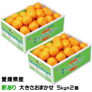 �݂��� ���n�t�݂��� �J���}���_���� 5kg×2�� ���̂������� �󂠂� �傫�����܂��� ���Q�� �����Y �~�J�� ���� �M�t�g �����񂹃O����