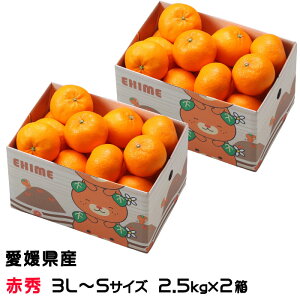 �݂��� ���n�t�݂��� �J���}���_���� 2.5kg×2�� �� �ԏG 3L�`S�T�C�Y ���Q���Y JA���Ђߒ��� �����I�ʏ� �~�J�� ���� �M�t�g �����񂹃O����