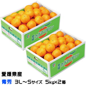 �݂��� ���n�t�݂��� �J���}���_���� 5kg×2�� �� �G 3L�`S�T�C�Y ���Q���Y JA���Ђߒ��� �����I�ʏ� �~�J�� ���� �M�t�g �����񂹃O����