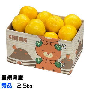 �݂��� �͓��ӊ� ���킿�΂񂩂� �G�i �傫�����܂��� 2.5kg �Y�n���I �a���O���[�v�t���[�c �݂��� �~�J��