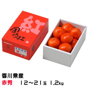 Ε ݂ g݂ ԏG 12`21 1.2kg 쌧Y ~J  Mtg 