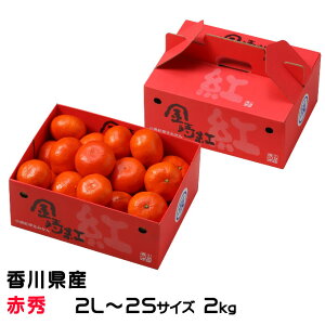 Ε ݂ g݂ ԏG 2L`2STCY 2kg 쌧Y ~J  Mtg 