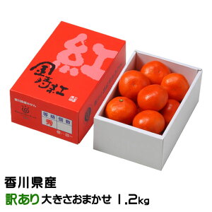 Ε ݂ g݂ ̂ Ɩ󂠂 傫܂ 1.2kg 쌧Y ~J  Mtg 