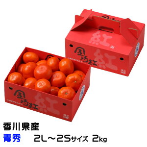 Ε ݂ g݂ G 2L`2STCY 2kg 쌧Y ~J  Mtg 