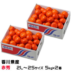 Ε ݂ g݂ 5kg×2 ԏG 2L`2STCY 쌧Y ~J  Mtg 