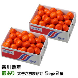 Ε ݂ g݂ 5kg×2 ̂ Ɩ󂠂 傫܂ 쌧Y ~J  Mtg 