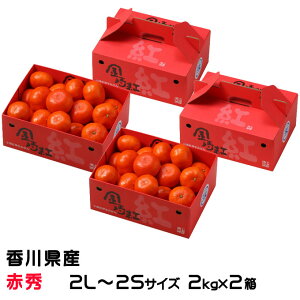 Ε ݂ g݂ 2kg×2 ԏG 2L`2STCY 쌧Y ~J  Mtg 