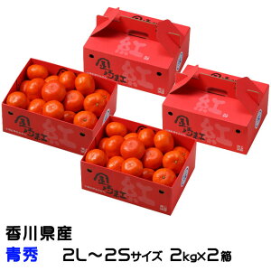 Ε ݂ g݂ 2kg×2 G 2L`2STCY 쌧Y ~J  Mtg 