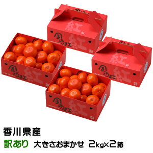 Ε ݂ g݂ 2kg×2 ̂ Ɩ󂠂 傫܂ 쌧Y ~J  Mtg 