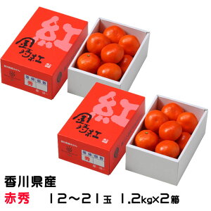 Ε ݂ g݂ 1.2kg×2 ԏG 12`21 쌧Y ~J  Mtg 