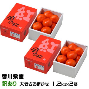 Ε ݂ g݂ 1.2kg×2 ̂ Ɩ󂠂 傫܂ 쌧Y ~J  Mtg 