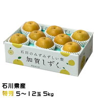 梨 加賀しずく 特選 5玉～12玉 5kg 石川県産 ナシ なし
