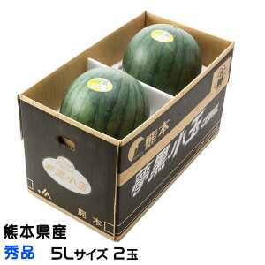 ������ �������ʂ����� �G�i 5L�T�C�Y 2�� 7.0kg �F�{���Y JA���{ �X�C�J ���Z ������