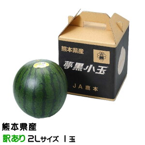 ������ �������ʂ����� ���̂������� ������Ɩ󂠂� 2L�T�C�Y 1�ʓ��� 1.8kg �F�{���Y JA���{ �X�C�J ���Z ������