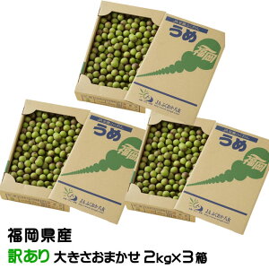 �~ ���~ ���z ���̂������� �󂠂� ��2kg×3�� �傫�����܂��� JA�������� �������Y �~�����p ���~ ���� �E��