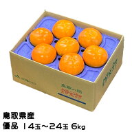 柿 輝太郎 きたろう 優品 14玉〜24玉 6kg 鳥取県産 かき カキ ギフト お取り寄せ