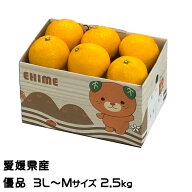 みかん サマー清見 優品 3L〜Mサイズ 2.5kg 希少な黄色い清見オレンジ 愛媛県 中島産 JAえひめ中央