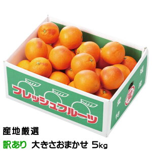 ݂ IW ̂ Ɩ󂠂 傫܂ 5kg YnI