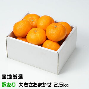 ݂ IW ̂ Ɩ󂠂 傫܂ 2.5kg YnI
