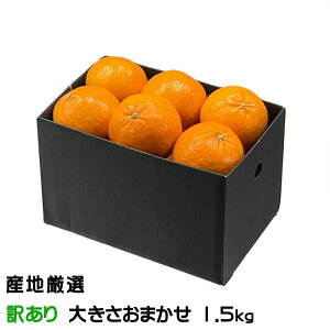 ݂ IW ̂ Ɩ󂠂 傫܂ 1.5kg YnI