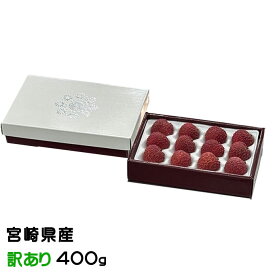 お中元 ライチ 生ライチ 風のいたずら 訳あり 400g 8〜15玉 宮崎県産 JA宮崎経済連 ギフト お取り寄せグルメ
