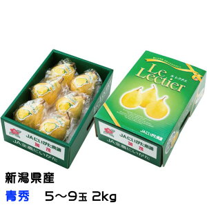 Ε m N`F G 5ʁ`9 2kg VY JAV  iV Ȃ Mtg