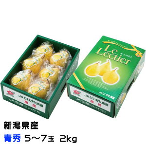 Ε m N`F G 5ʁ`7 2kg VY JAV  iV Ȃ Mtg