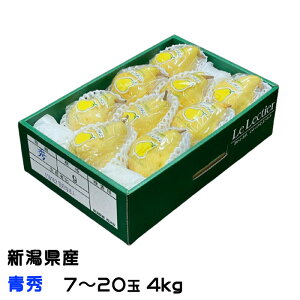 Ε m N`F G 7ʁ`20 4kg VY JAV  iV Ȃ Mtg