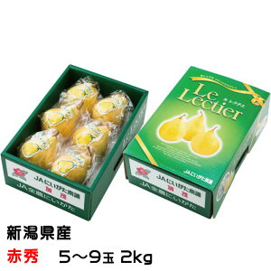 Ε m N`F ԏG 5ʁ`9 2kg VY JAV  iV Ȃ Mtg