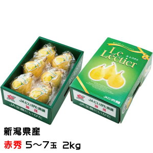 Ε m N`F ԏG 5ʁ`7 2kg VY JAV  iV Ȃ Mtg