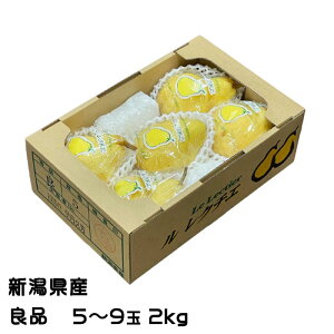 Ε m N`F Ǖi 5ʁ`9 2kg VY JAV  iV Ȃ Mtg