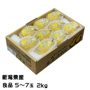 Ε m N`F Ǖi 5ʁ`7 2kg VY JAV  iV Ȃ Mtg