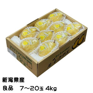 Ε m N`F Ǖi 7ʁ`20 4kg VY JAV  iV Ȃ Mtg