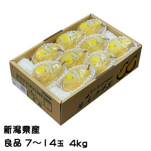 Ε m N`F Ǖi 7ʁ`14 4kg VY JAV  iV Ȃ Mtg