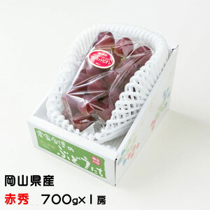 Ԃǂ }XJbgrI ԏG 700g×1[ RY  uhE Mtg 