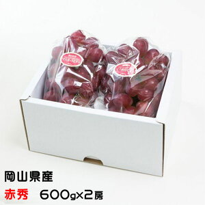 Ε Ԃǂ }XJbgrI ԏG 600g×2[ RY  uhE Mtg 