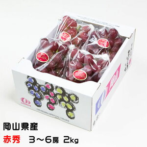 Ε Ԃǂ }XJbgrI ԏG 3`6[ 2kg RY  Ԃǂ Mtg 