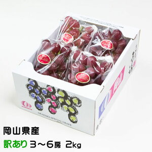 Ԃǂ }XJbgrI ̂ Ɩ󂠂 3`6[ 2kg RY  Ԃǂ Mtg 