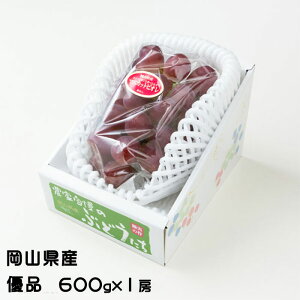 Ԃǂ }XJbgrI Di 600g×1[ RY  Ԃǂ Mtg 